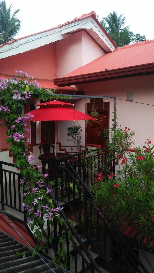 Tissa Rainbow Guest & Yala Hotell Tissamaharama Exteriör bild